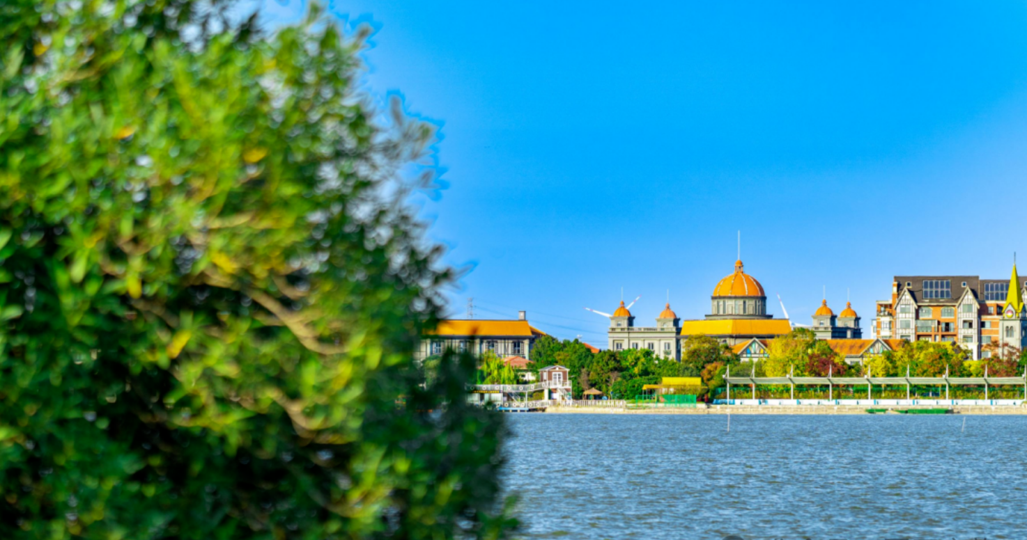 0ddd08099e4741f905e7c36a25dc7ab2