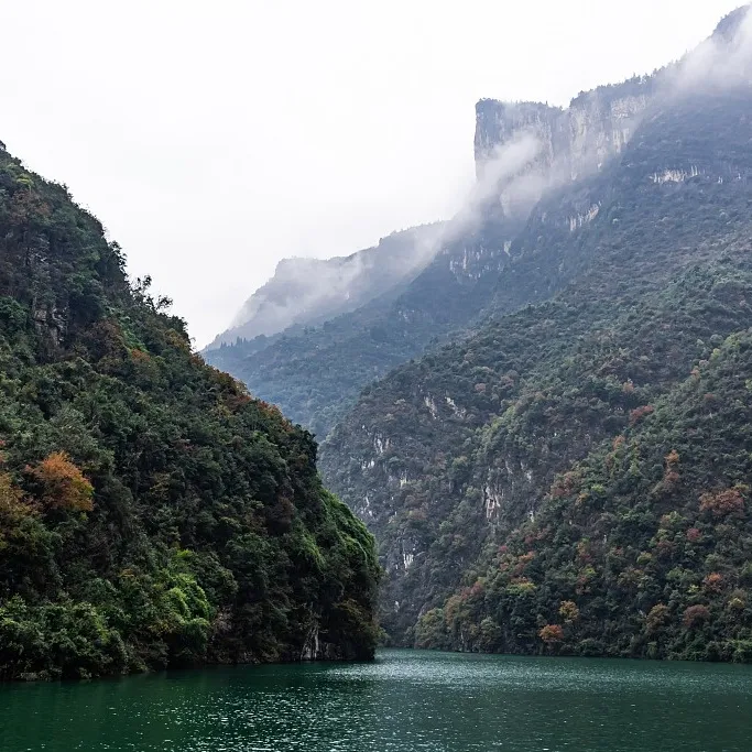 0e03230bd2286da14b9ddd5737d71e6e-sz_593338