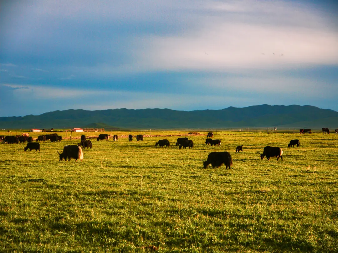 0e1d95729b1d24b064a12df7644bd59c-sz_2670885 0e1d95729b1d24b064a12df7644bd59c-sz_2670885