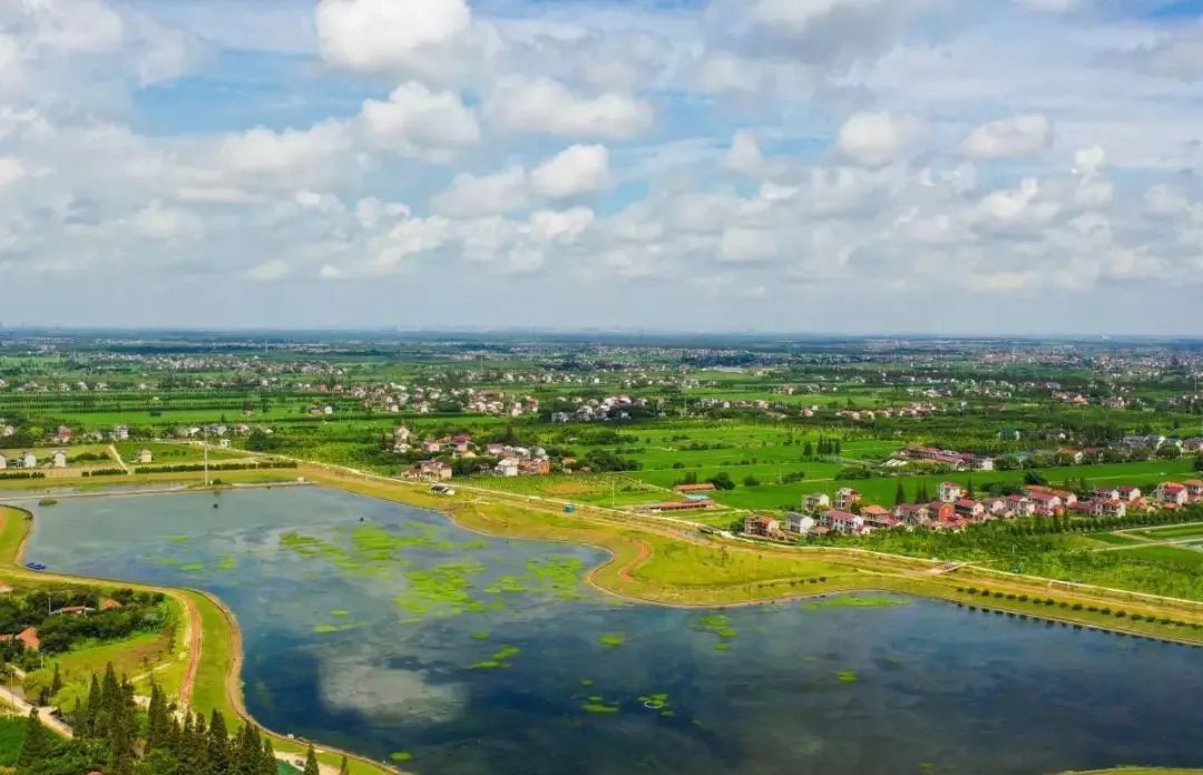 0e23b65f839064a140fcf5f69ba81666-sz_1596088 0e23b65f839064a140fcf5f69ba81666-sz_1596088