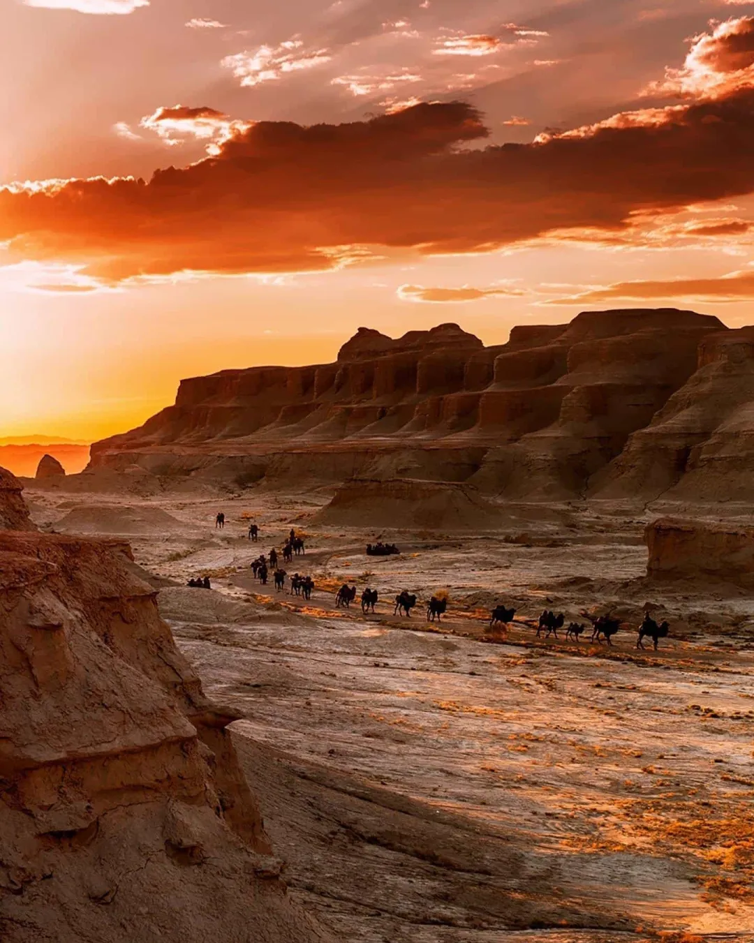 0e2d7155fc65644ecb966faed5ba5af6-sz_246186 0e2d7155fc65644ecb966faed5ba5af6-sz_246186