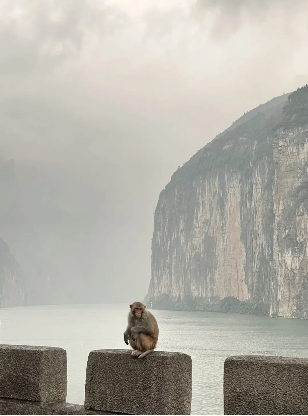 0e52dccb4837650438cac4b2c28a0fc3-sz_200165 0e52dccb4837650438cac4b2c28a0fc3-sz_200165