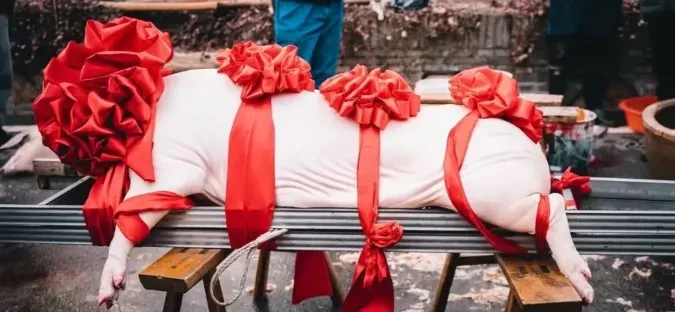 0e90c46236935ae36b88a60f460ec393-sz_327698