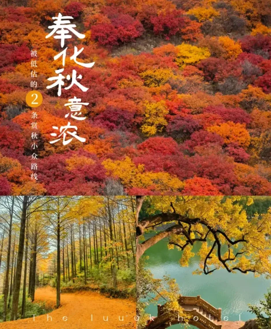 ☞指定入住景区旁准四酒店&499元深度自由4日游度假5A溪口镇！含3早5正特色餐！早餐升级自助早！免费棋牌娱乐！