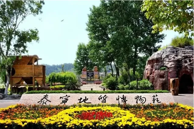 0eb2beebcd611c53f1caa55a4740769f-sz_741149