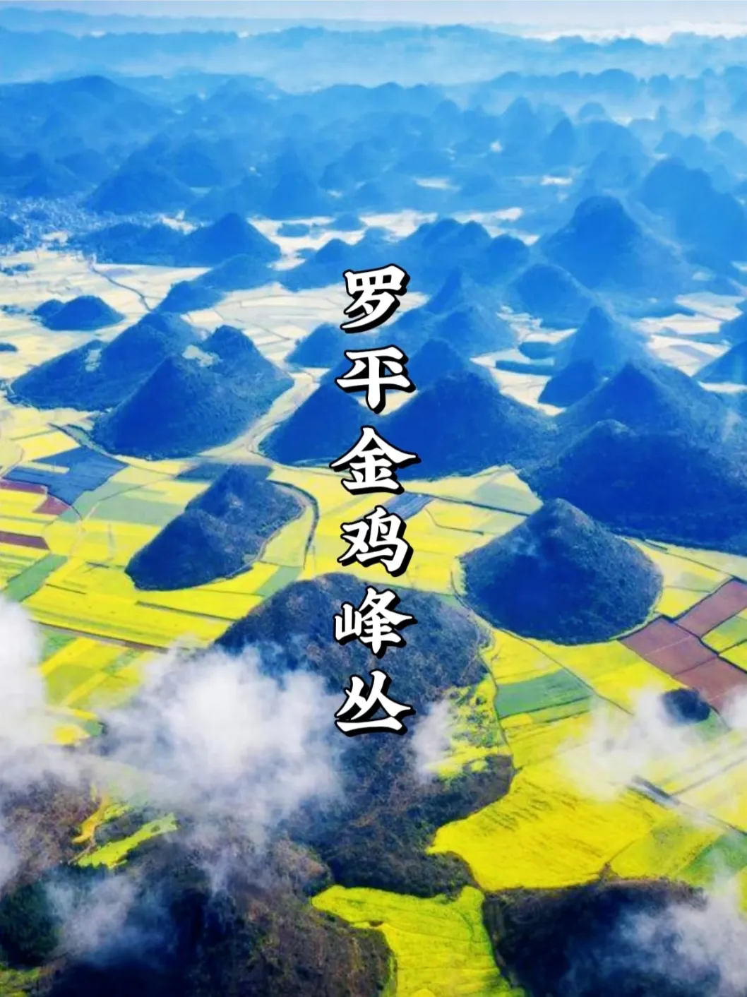 0f03a95411507c5e942a7a7096342796-sz_426032