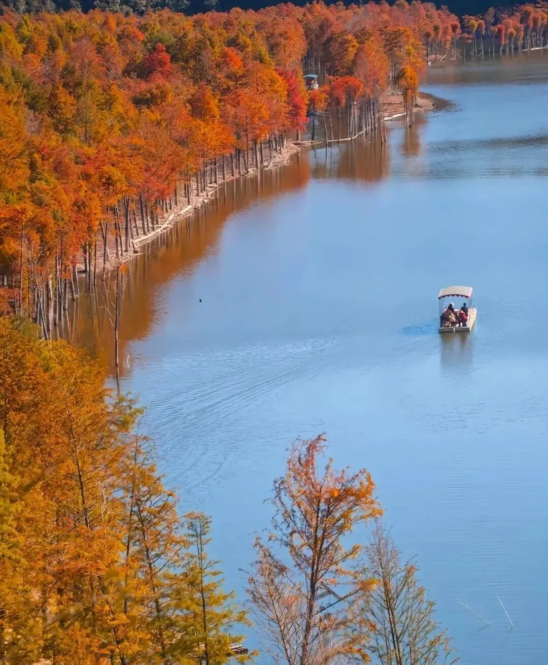 0f0aaeac932fc8d33067d0fe00a4e662-sz_322552