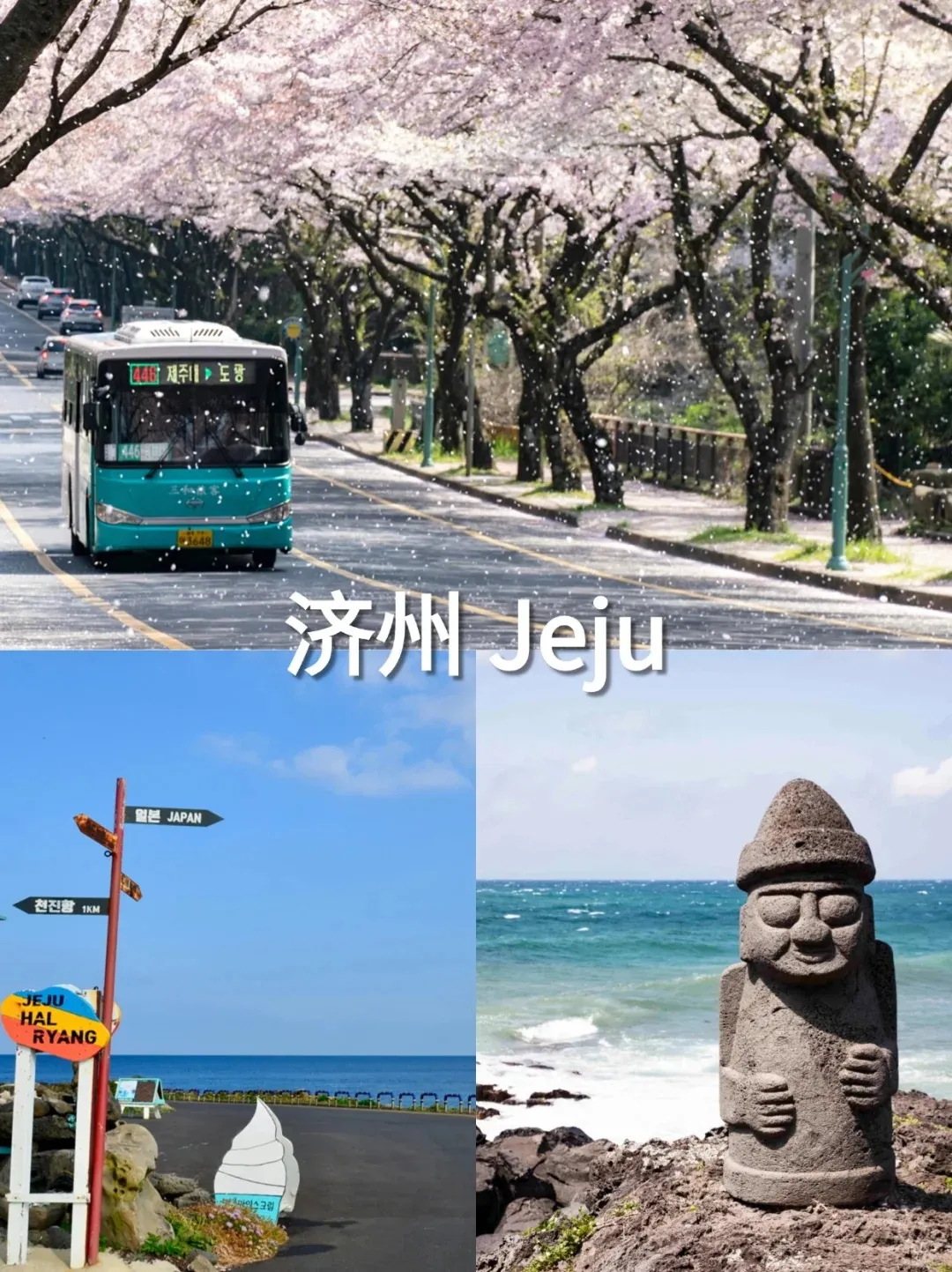 0f1d7c1dcabfeb8a1c106d4fab83bfd8-sz_440263-1