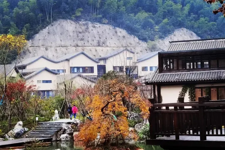 0f552cf4d8da27b304fb6282c13f8264-sz_327981 0f552cf4d8da27b304fb6282c13f8264-sz_327981