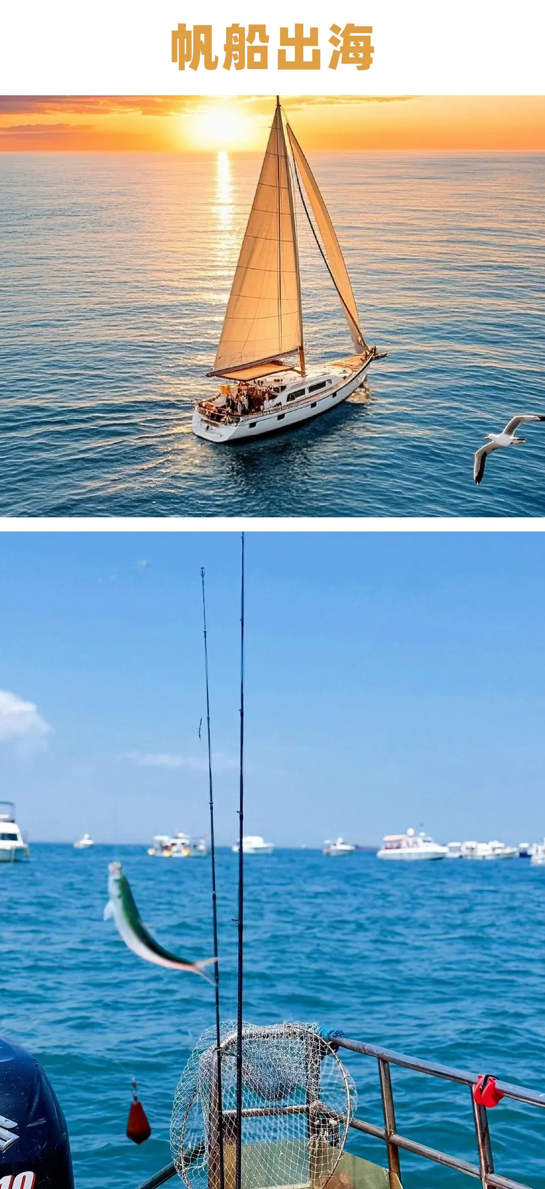 0f8960b28bddfd32f301c18af2e72a4b-sz_1523820