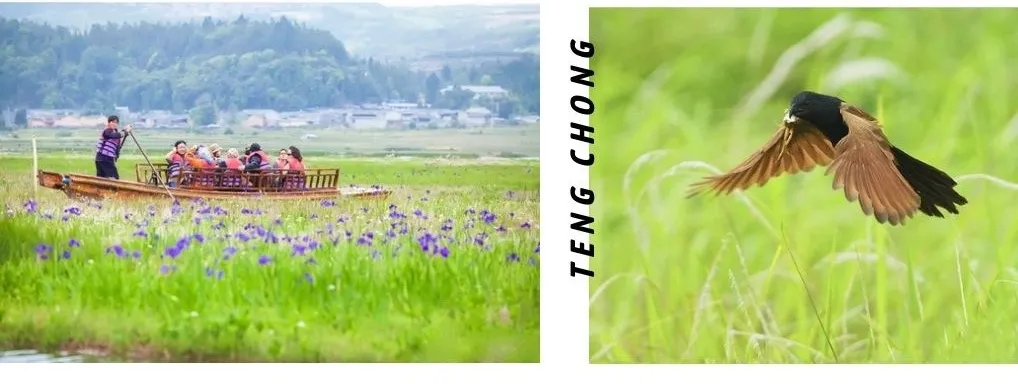 0f91b768877231afca9e648b37775b62-sz_394954 0f91b768877231afca9e648b37775b62-sz_394954