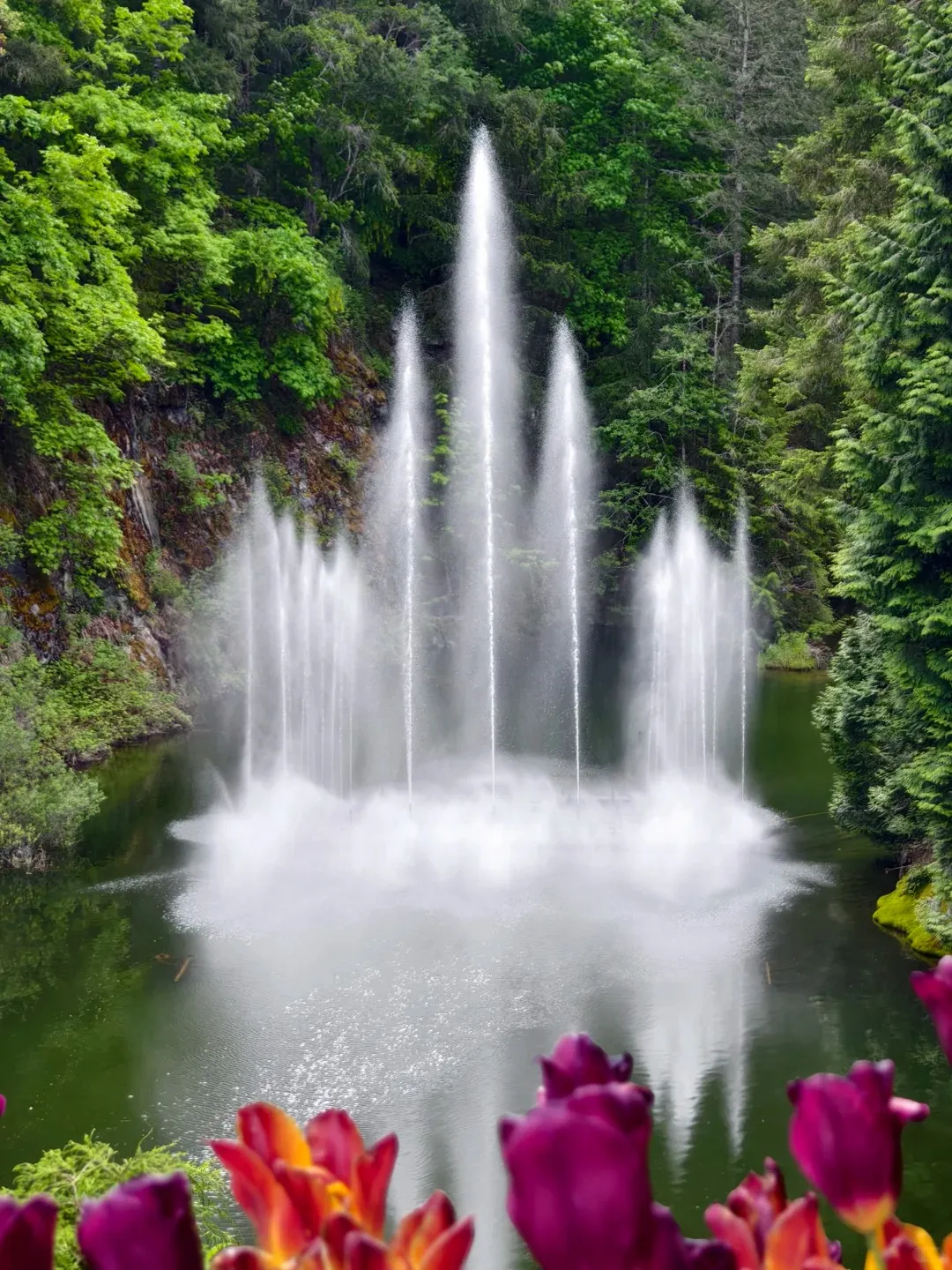 0fa70bb2193227199d1e00a240acd833-sz_489583 0fa70bb2193227199d1e00a240acd833-sz_489583