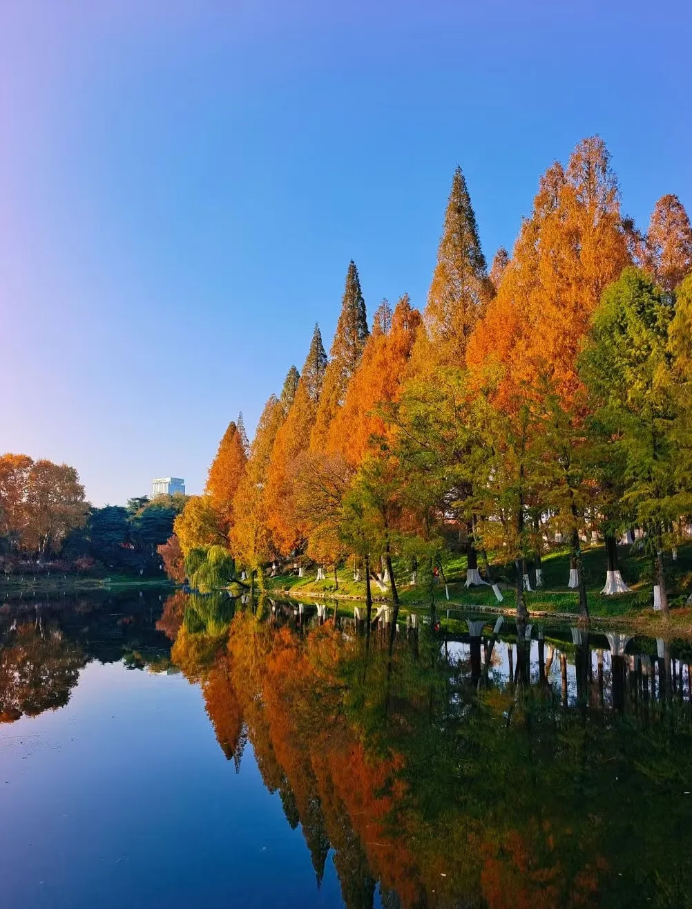 0fbb7b842302b2a3f278023c45de8a8d-sz_787453