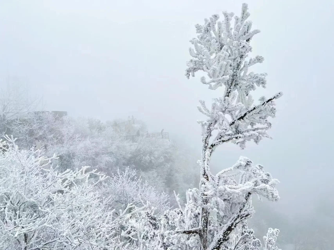 1000g0k01unrbkfcf80005nk3gep08k3k63phlco