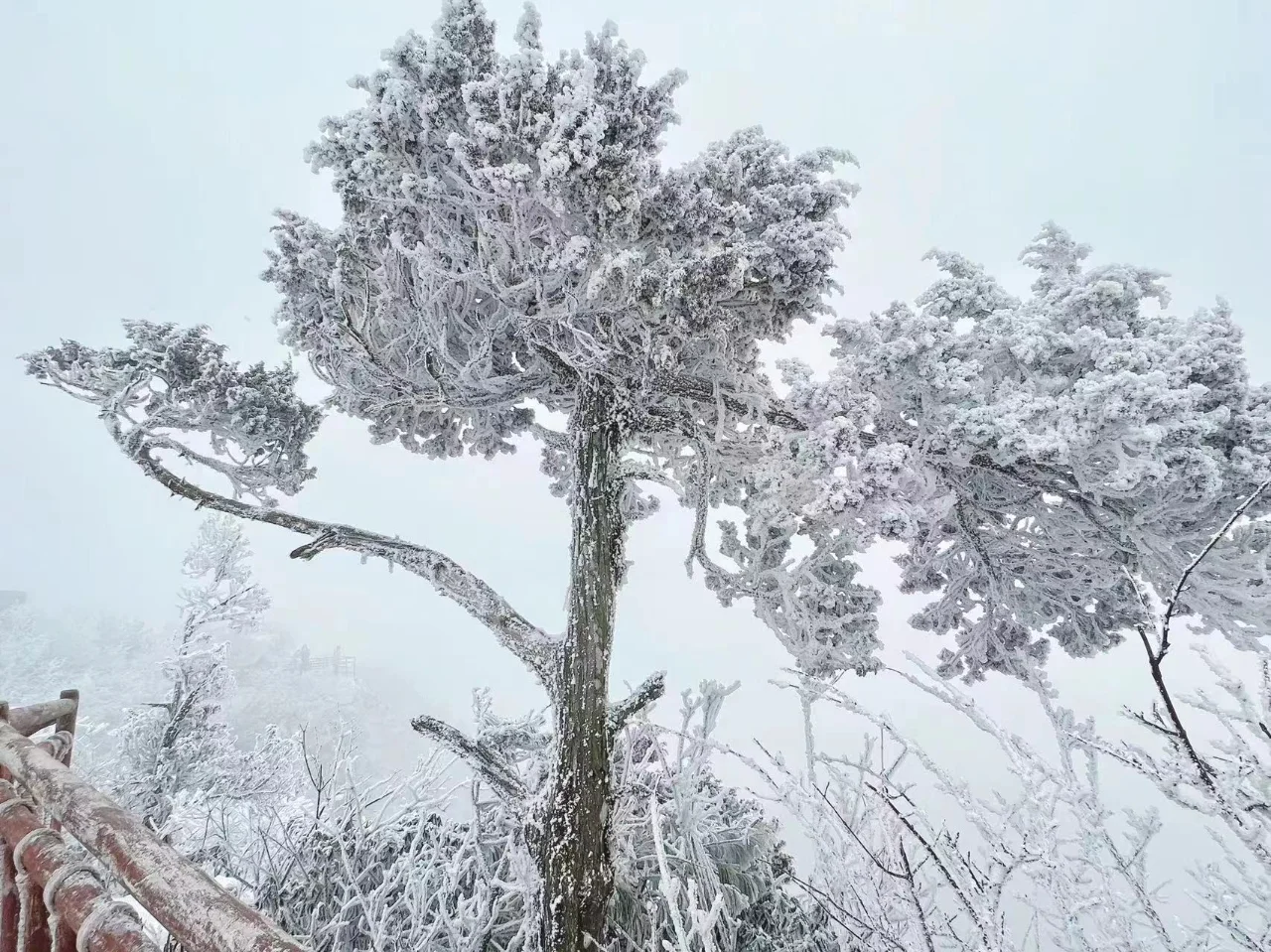 1000g0k01unrbmrof00005nk3gep08k3kd124rfo