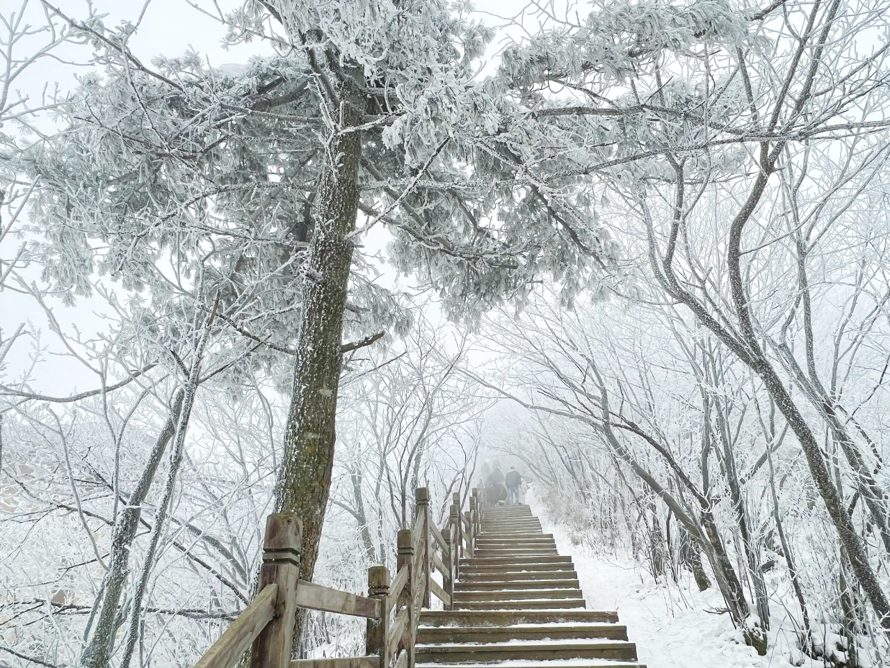 1000g0k01unrcoj6f20005nk3gep08k3kjs46a7o