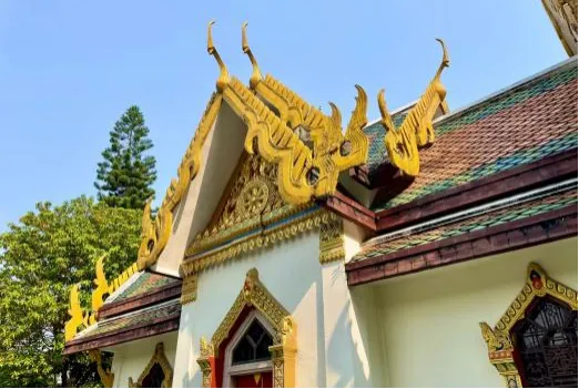 1001ca9ee3061532f32f4b01fcc08e39-sz_734501 1001ca9ee3061532f32f4b01fcc08e39-sz_734501