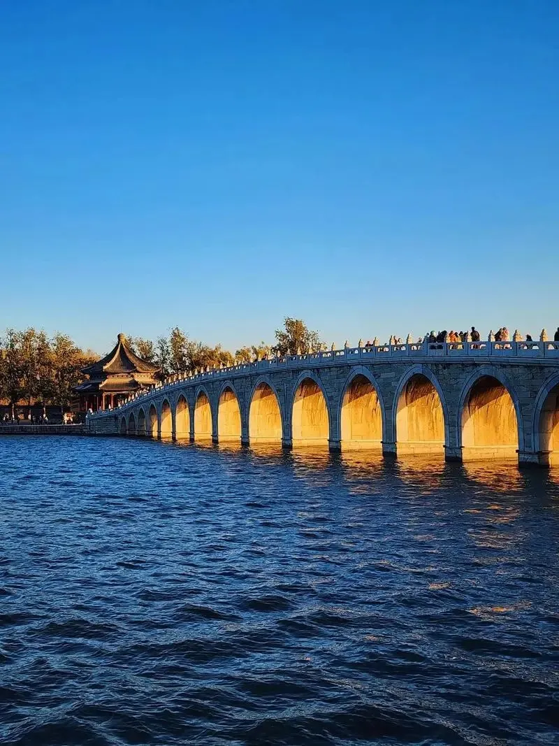 1039acdfc951d41bae71a6062aeaca87-sz_242406