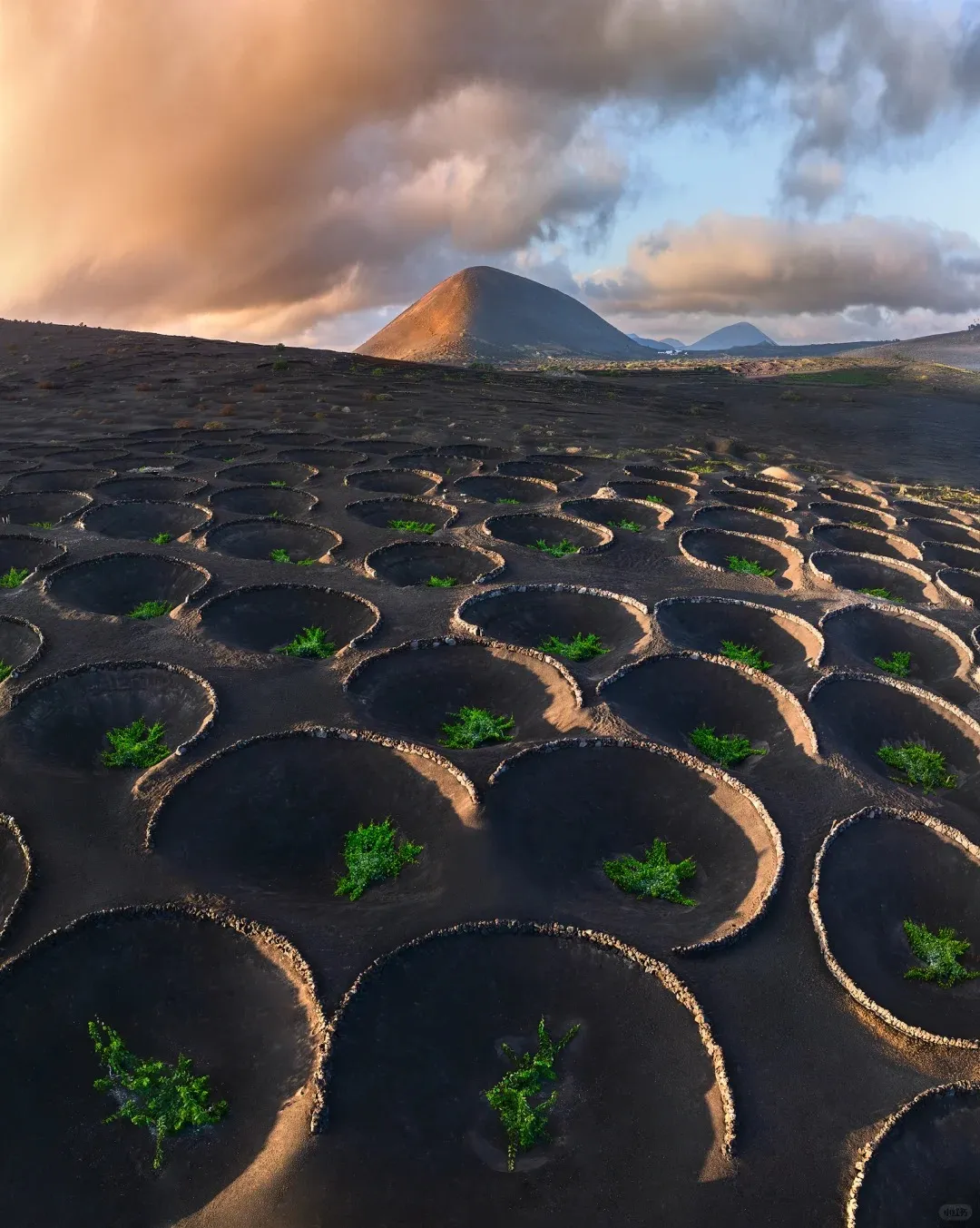 103db8e530eee660234825357a1bebfb-sz_361762