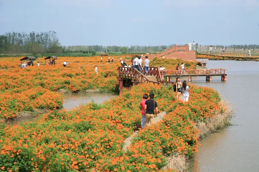 107dd8a2d30b4f0d0939a99302464eda-sz_1214493