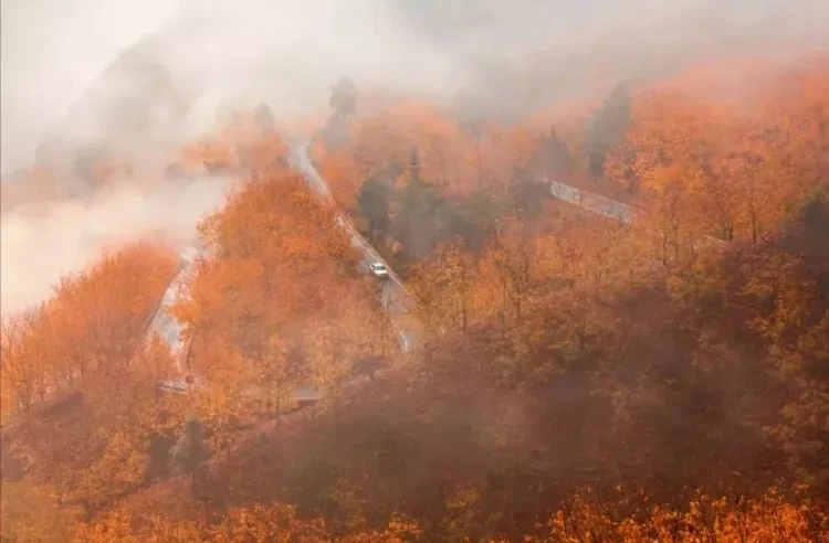 10d60fab9b3ece54764c94878f5420c0-sz_95687