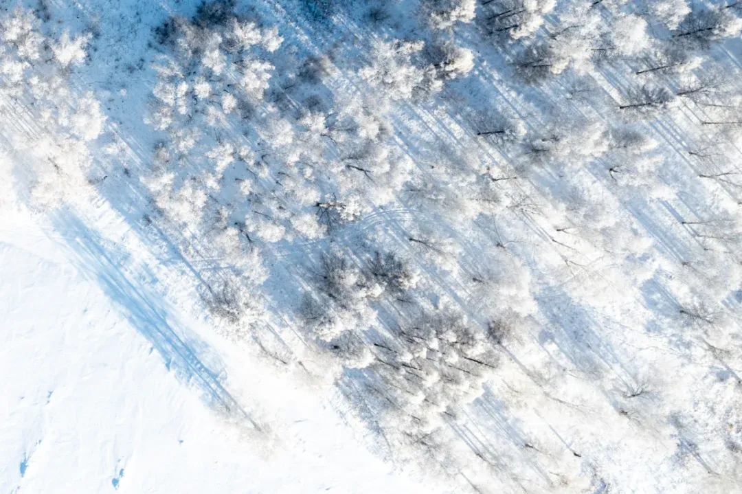 10eb20f8a9815c488c0aefebb005984b-sz_2615956 10eb20f8a9815c488c0aefebb005984b-sz_2615956