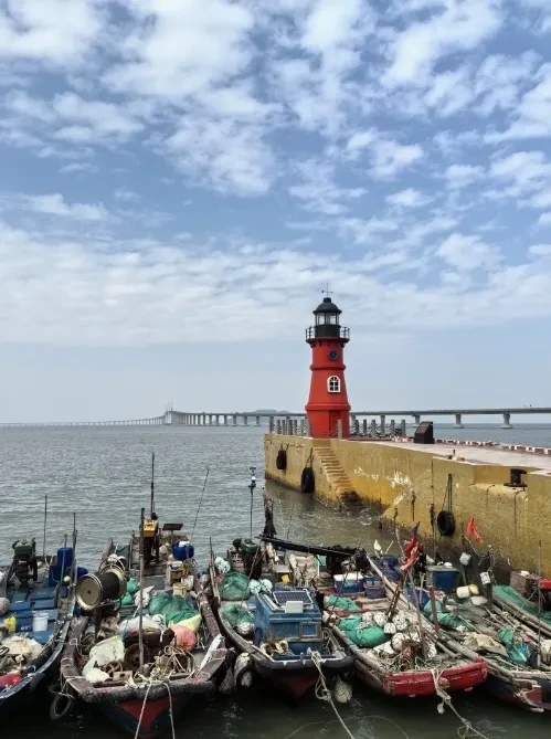 11662a4d916af6b00cbabddcd33f7dc4-sz_249918-1