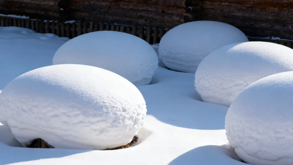 1169b956fd16cf64909a9c0b15acf044-sz_667459 1169b956fd16cf64909a9c0b15acf044-sz_667459