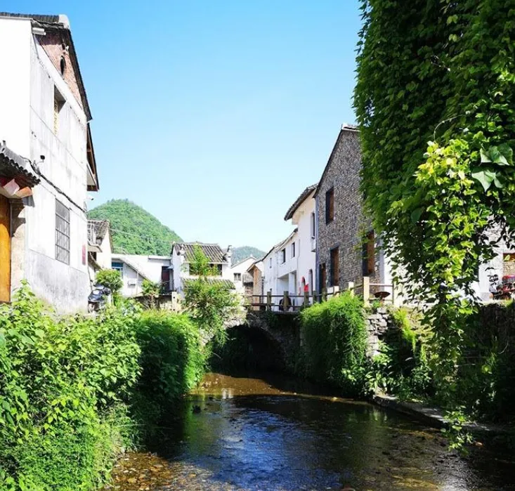 1198166ec2e3a2ec7126b93adfba52f6-sz_408120-1