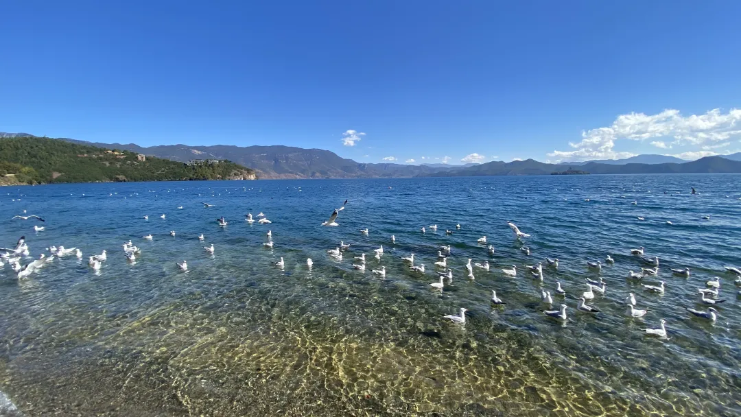 12025fe2246cf908fe5410da8bd826c9-sz_6432007 12025fe2246cf908fe5410da8bd826c9-sz_6432007