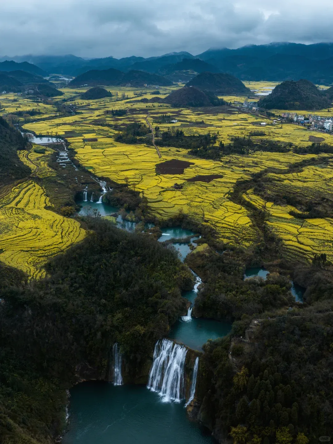 121be031bc40e1d7126c6e8281393995-sz_2856802-1