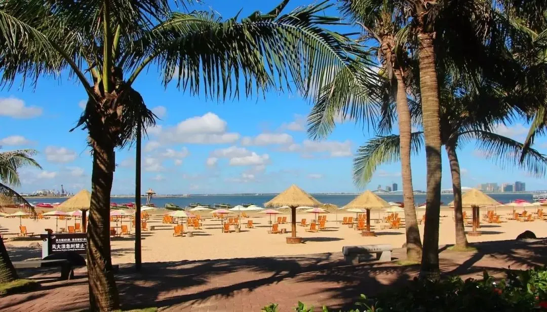 1262263636fdfa8825b019eb2d2b5f5b-sz_163228