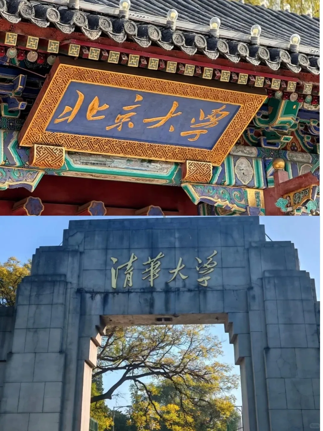 1268d80df872fe6abf58470db0ab41cc-sz_431504-1