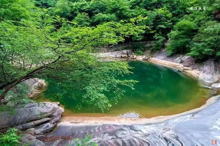 126a550b5eaeffd926ff84d4bf2cccee-sz_951152-1 126a550b5eaeffd926ff84d4bf2cccee-sz_951152-1