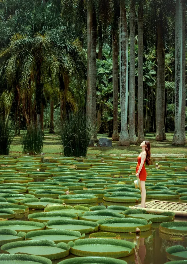 1271aa6271048578c2d2db34df00d8d1-sz_1912738