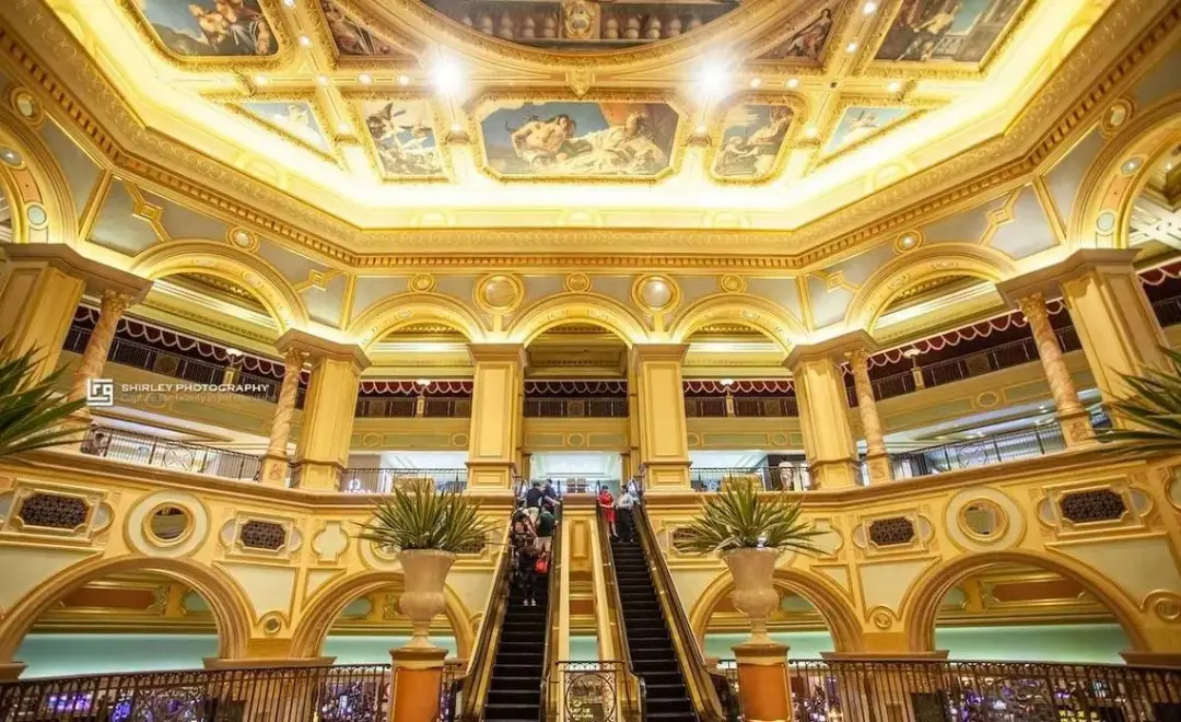 127b4ae6b01da3d0ca6b9b361a247795-sz_183567