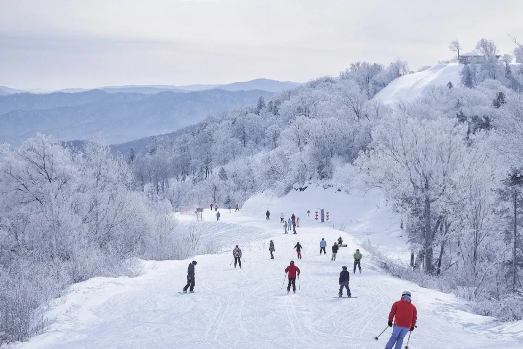 12bcd3ca7e75cd99cab33041c17cca9e-sz_568838 12bcd3ca7e75cd99cab33041c17cca9e-sz_568838