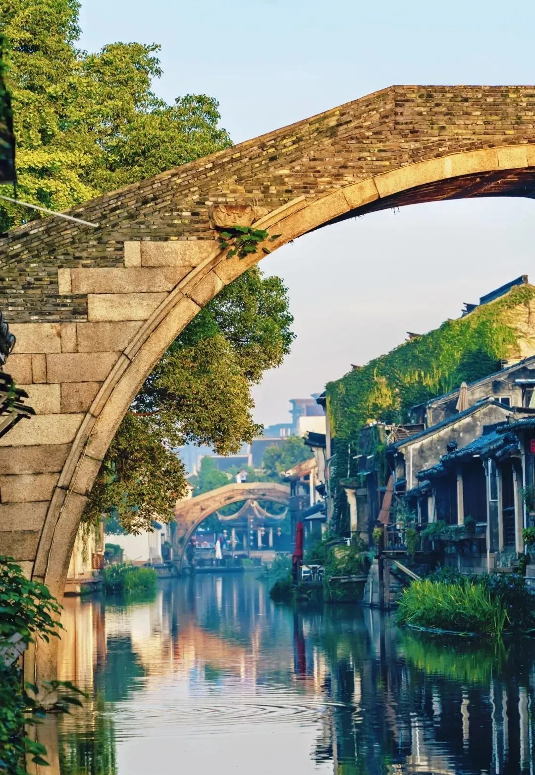 12ce4ca093f50222bec8ba40061a9dc3-sz_395325