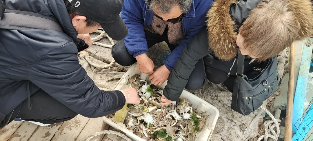 13036ea1f377a9d9d47e8fe09c244305-sz_2815217