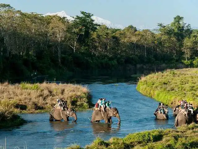 1306cc8e44ee9b47ca36f22a6a59868c-sz_47819