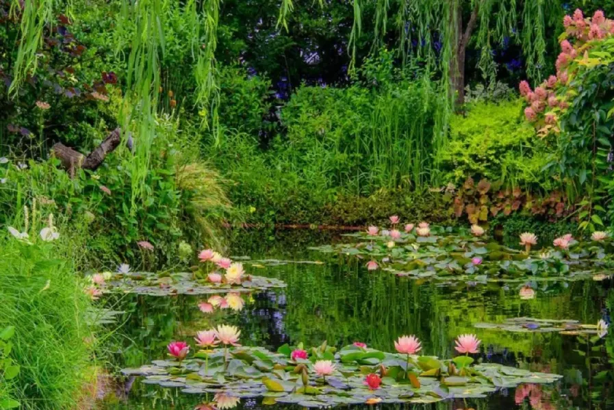 1311cdce072179fe2dc47de8d27dd88e-sz_2797993