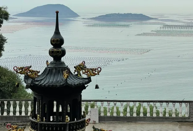 131858d4068134d070d1a62c5ebb6504-sz_528931-1