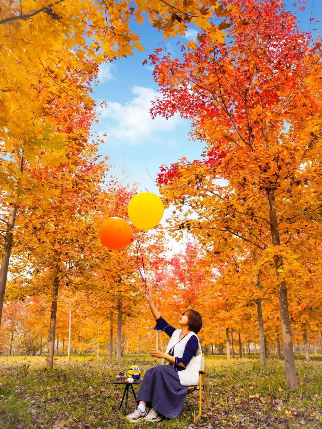 1323c390232cace00a622a243512633b-sz_4288548 1323c390232cace00a622a243512633b-sz_4288548