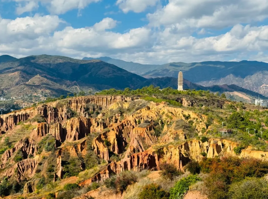 136f8566c8078bb5d7543ceaa65b0fe9-sz_520549