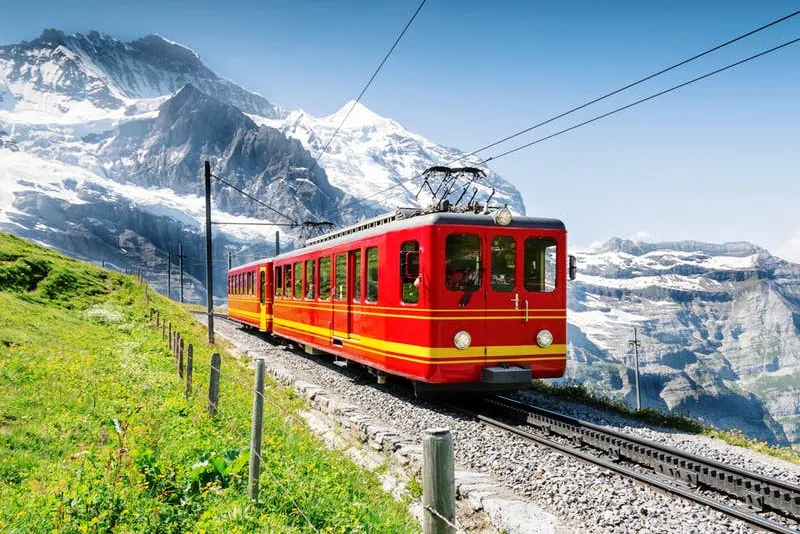 13a1b24a27048726c6b87cbcce9a6064-sz_98663