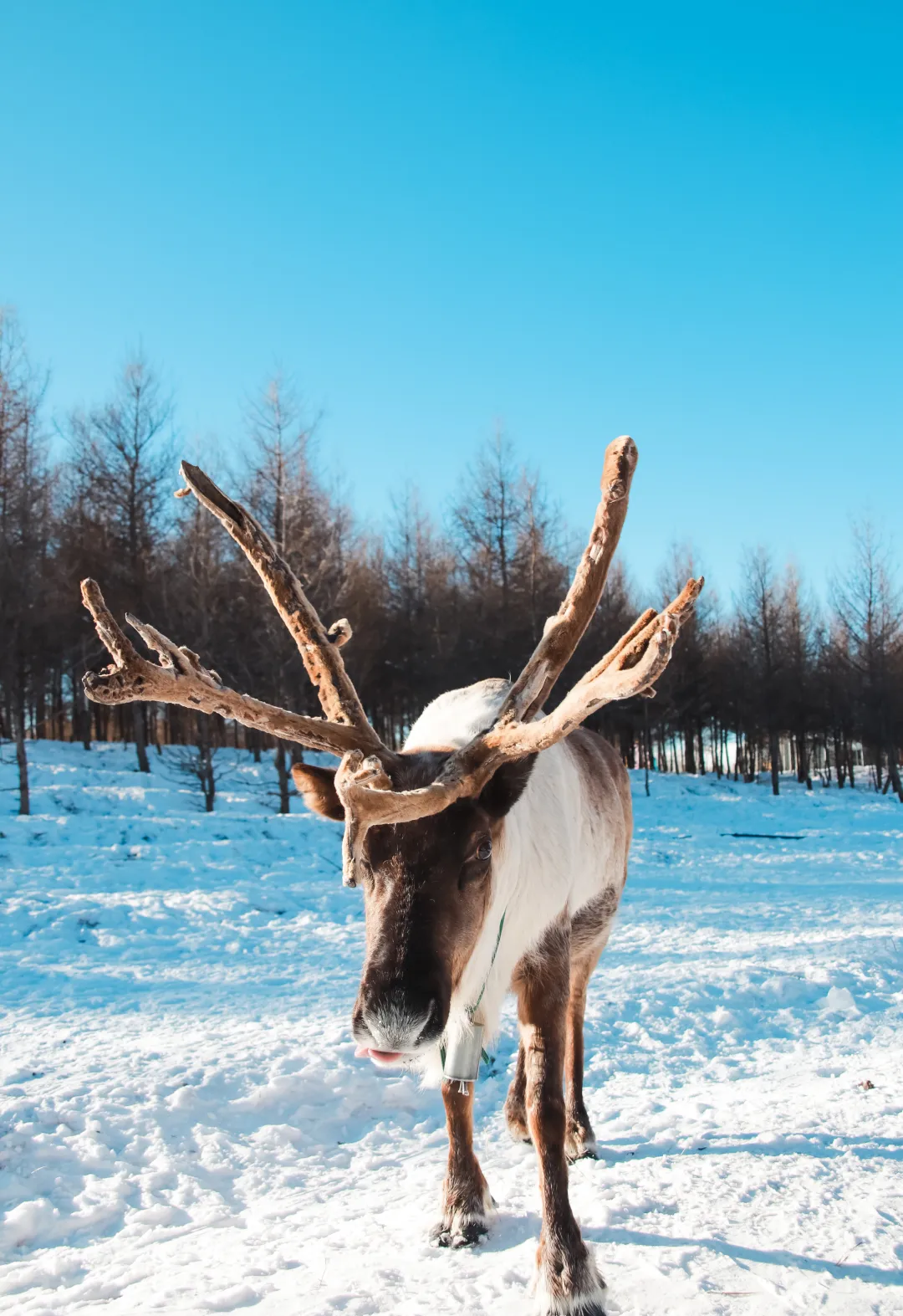 13a673575ce473d90cbf5bf690af2e33-sz_6484695 13a673575ce473d90cbf5bf690af2e33-sz_6484695