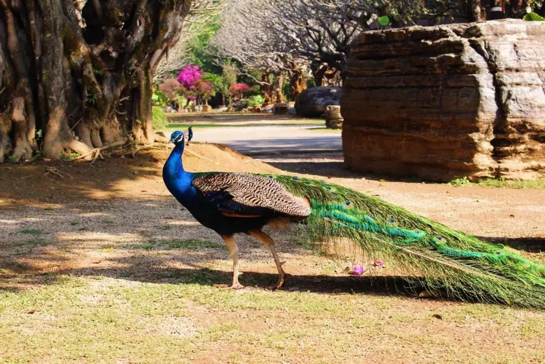 13bf51235bbfcaefb7414f8799b3b6d9-sz_190021 13bf51235bbfcaefb7414f8799b3b6d9-sz_190021