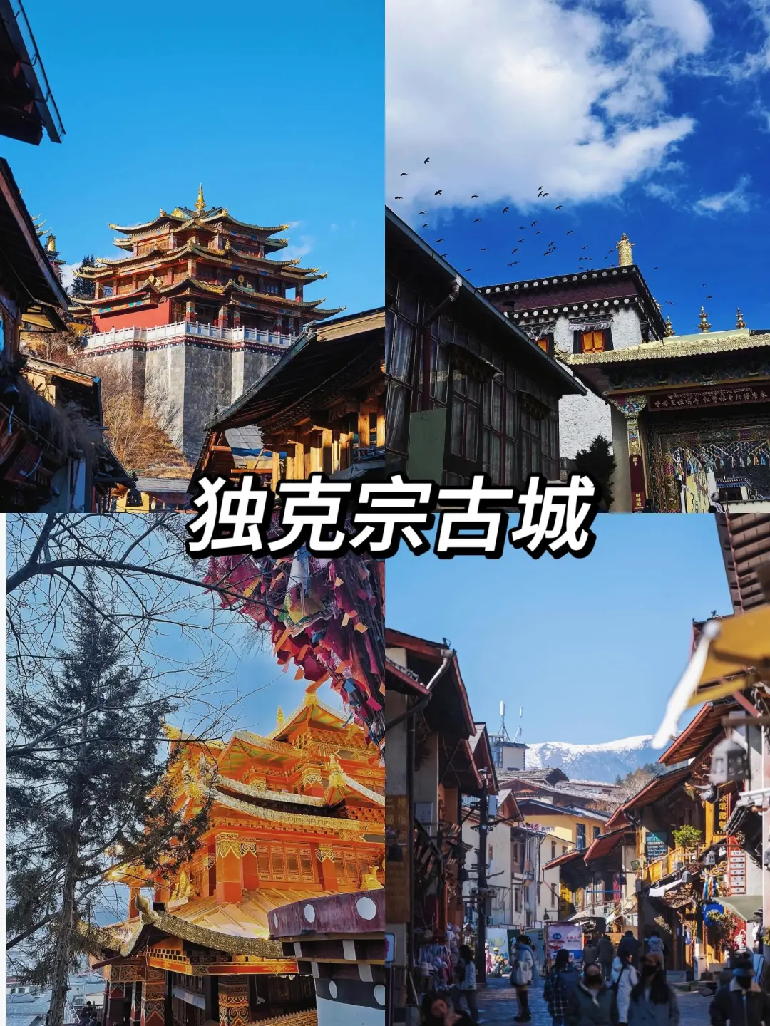 14257b5cb38155ab27ef0eaa22b75e64-sz_880867-1