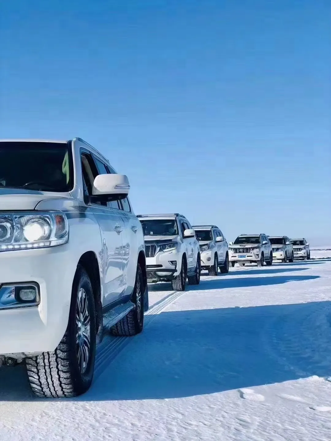 14508cc4240ed91f46918ca420e70e44-sz_315677 14508cc4240ed91f46918ca420e70e44-sz_315677