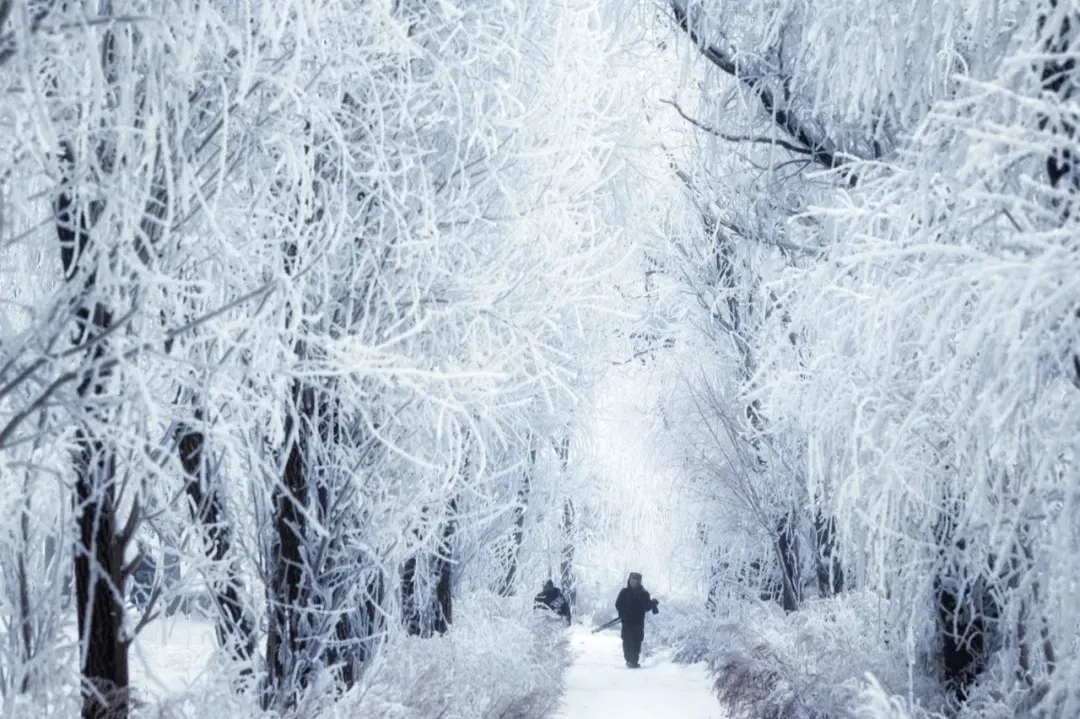 1468378b1c1c6f3bd30d1c1ac91bcea7-sz_872613-1 1468378b1c1c6f3bd30d1c1ac91bcea7-sz_872613-1